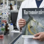 Macromolecules Vol.59 No.12 논문 등재